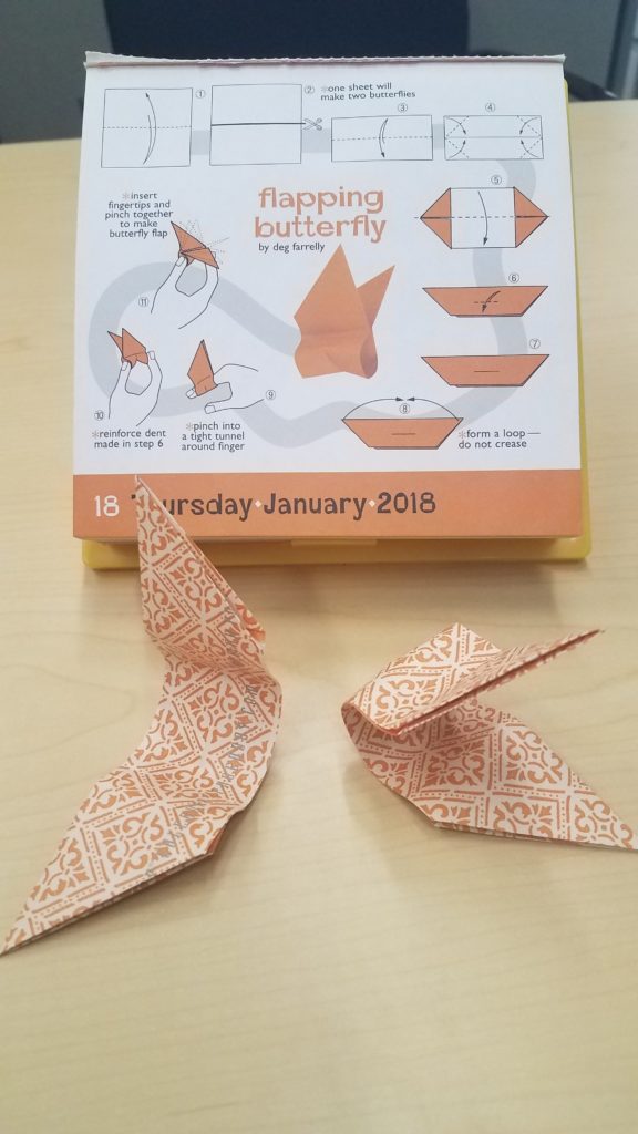 1/18/18 - Butterflies