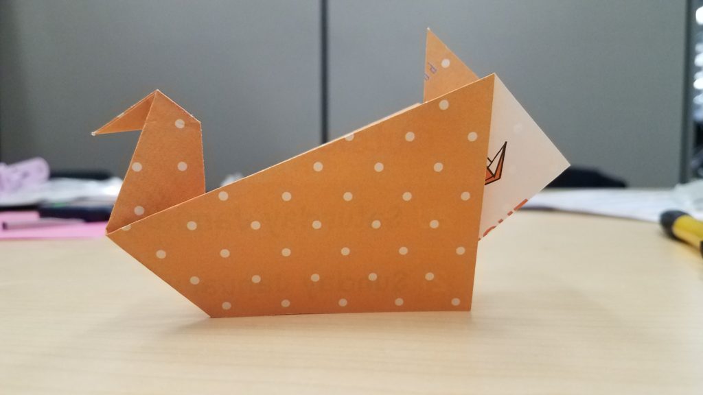 1/22/18 - White-tail Duck