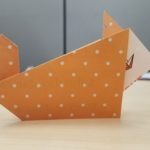 1/22/18 - White-tail Duck