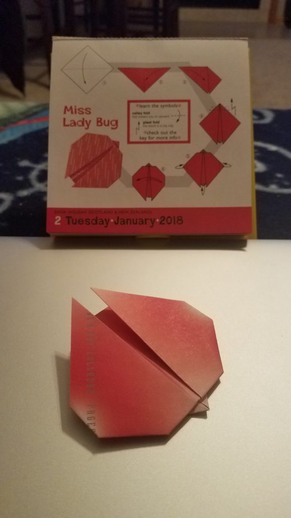 1/2/18 - Ladybug