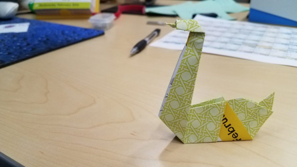 2/21/18 - Handsome Swan