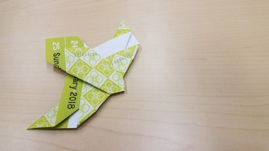 2/26/18 - Bird of Prey