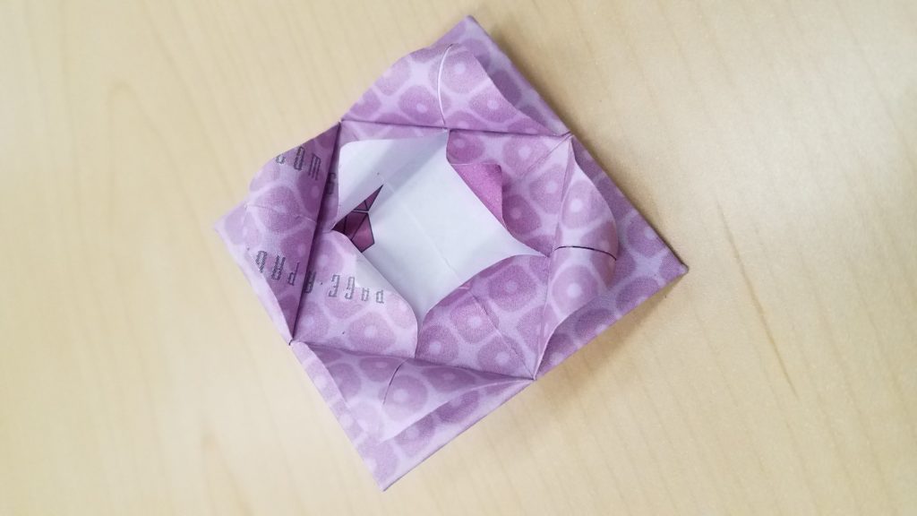 5/4/18 - Mexican Rose