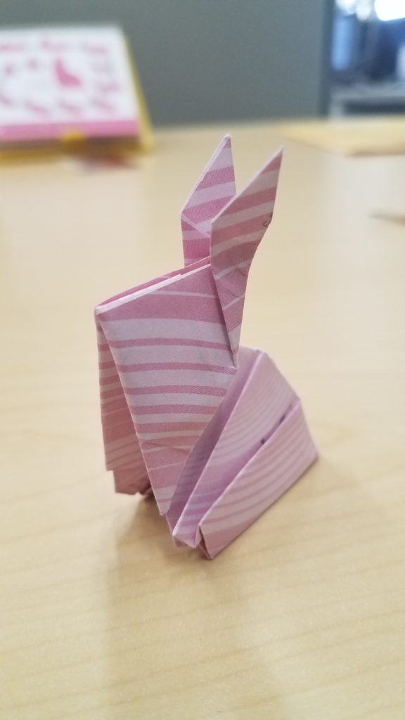 5/17/18 - Rabbit