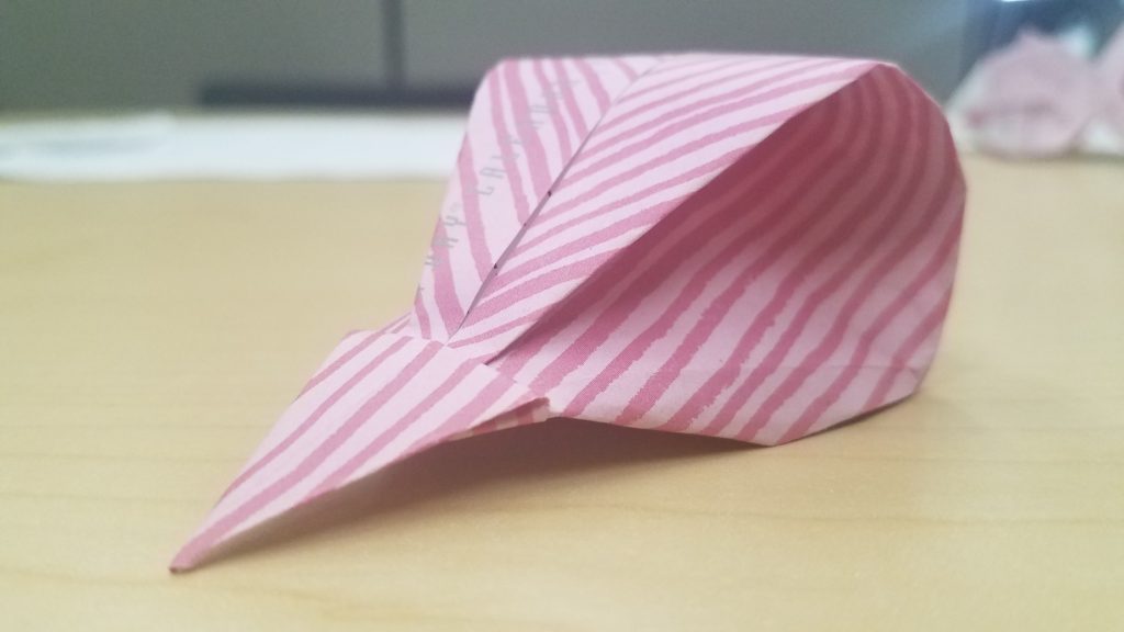 5/21/18 - Bird Skull