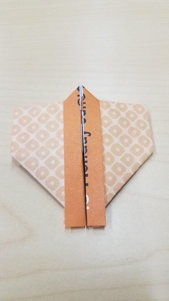 6/19/18 - Happy Coat