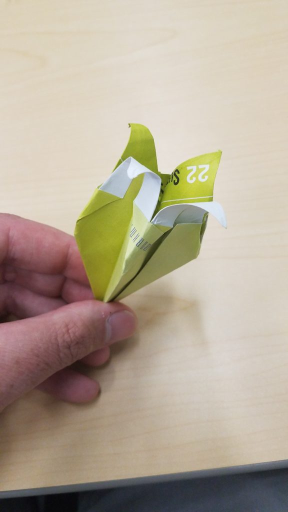 7/23/18 - Flower Bud