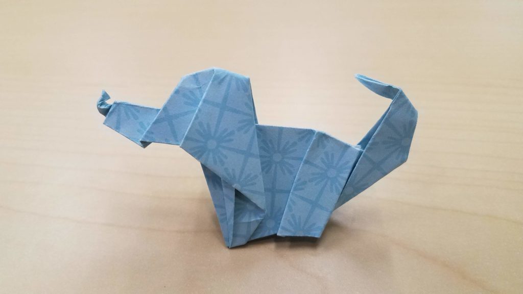 8/10/18 - My Dog Finn