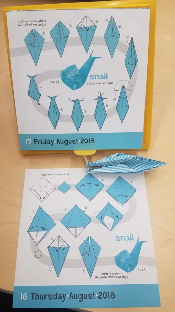 8/16-17/18 - Snail (fail)